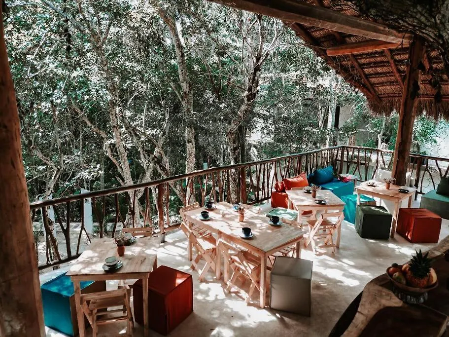 Kaaba Luum Jungle Villas Chemuyil