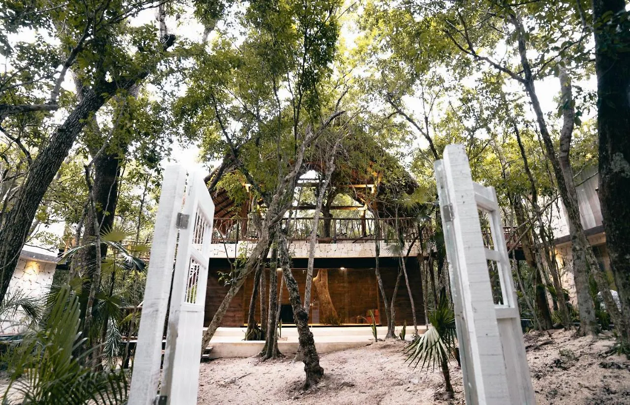 Kaaba Luum Jungle Villas Chemuyil Mexico